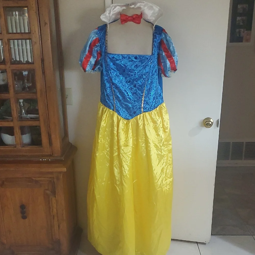 Disney Princess Costume with Blue and Yellow Dress - Picture 2 of 11